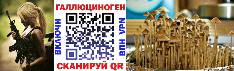 Купить где  Электроугли  Галлюциногенные грибы мицелий 